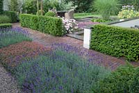 Squares with Acaena microphylla and Lavandula angustifolia. Brick path, Taxus baccata hedges and terrace.
