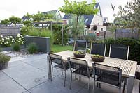 Low maintenance urban garden. Terrace, lawn with Platanus