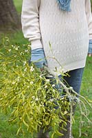 Woman holding a bunch of mistletoe