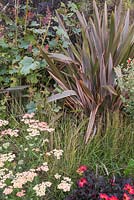 Phormium, Achillia, ornamental grass, Maclaya and Dahlia
