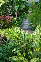 Alpinia zerumbet 'variegata', with green and yellow striped foliage with a view to a lower garden with a small timber boardwalk.