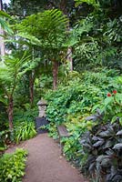 A Balinese carved stone lantern sits on a large black timber plinth next to a simple timber bench at the end of a pea gravel path surrounded by a thick planting of ferns and other shade loving plants.