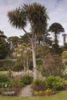 An island bed focussing on southern hemisphere exotics - Dumfries and Galloway, Scotland