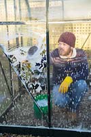 Man cleaning dirty glass panes of a small patio greenhouse