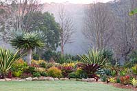 A colourful garden featuring bromeliads, succulents, and variegated plants including a Furcraea foetida mediopicta, Mauritius Hemp and Dracaena draco, 