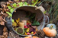 Arrangement in stainless steel basin containing lit candles, Malus, Pumpkins, Sunflower seedheads and autumnal leaves