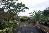 Wide view of a rooftop garden featuring the colourful foliage of assorted bromeliads, succulents, ferns, palms and cycades. 