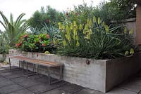 A timber bench seat seen in a rooftop garden, with various colourful subtropical plants. Aloe 'Bush baby yellow' and Euphorbia milii poysean hybrid 'Crown of thorns bush' is featured. 