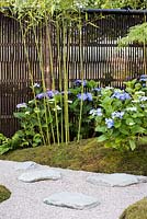 View of the path with slate paving stones surrounded by Phyllostachys bissetii, blue flowering Hydrangea and knitted Bamboo fence. Japanese Summer Garden. Designed by Saori Imoto. Sponsored by Unique Japan Tours