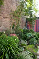 Garden bed with mixed plantings of variegated grasses, succulents and perennials. Bamboo and Mandevilla laxa are secured to a brick wall with chains and rope. In the background is a boldly striped garden shed