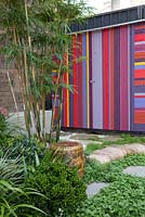View of garden with colourful striped shed, ground covers include echeveria, Scaevola aemula - native fan flower, Viola hederacea - Australian native violet, Crassula ovata 'Gollum' and bamboo in the background.