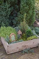 Winter wonderland box constructed with minature objects, lights, Scotch moss, Pinus foliage, Conifer, Moss and blue Spruce