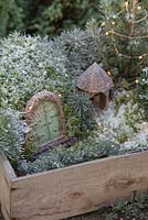 Winter wonderland box constructed with artificial snow, minature objects, lights, Scotch moss, Pinus foliage, Conifer, Moss and blue Spruce