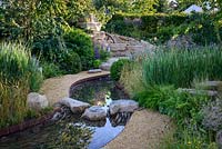 Rock stepping stones over a water rill, Cercidiphyllum japonicum with Prunus lusitanica and Panicum virgatum 'Northwind' - Zoflora: Outstanding Natural Beauty, RHS Hampton Court Palace Flower Show 2016