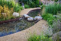 Rock stepping stones over a water rill, Cercidiphyllum japonicum with Prunus lusitanica and Panicum virgatum 'Northwind' - Zoflora: Outstanding Natural Beauty, RHS Hampton Court Palace Flower Show 2016