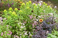 Euphorbia schillingii with Achillea 'Terracotta'  in Katie's Lymphoedema Fund: Katie's Garden, RHS Hampton Court Palace Flower Show 2016. Design: Noemi Mercurelli and Carolyn Dunster