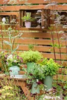 Wooden crates used as shelves and cut flowers in vases with Alchemilla mollis, Rosa 'Blush Noisette', eryngiums, euphorbias, astrantias, sweet williams, grasses and seedheads in Katie's Lymphoedema Fund: Katie's Garden, RHS Hampton Court Palace Flower Show 2016. Design: Noemi Mercurelli and Carolyn Dunster