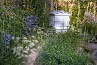 A gravel path leading to blue wooden beehive among Nepeta x fassenii, Stachys byzantina 'Big Ears' and Pennisetum villosum. The Drought Garden, RHS Hampton Court Palace Flower Show 2016. Design: Steve Dimmock