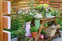 Cut flowers in vases with Alchemilla mollis, Rosa 'Blush Noisette', eryngiums, euphorbias, astrantias, sweet williams, grasses and seedheads in Katie's Lymphoedema Fund: Katie's Garden, RHS Hampton Court Palace Flower Show 2016. Design: Noemi Mercurelli and Carolyn Dunster