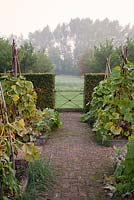Vegetable garden with gate and countryside beyond. Ulting Wick, Essex