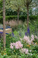 Planting in The Abbeyfield Society: a Breath of Fresh Air, RHS Hampton Court Palace Flower Show 2016. Design: Rae Wilkinson