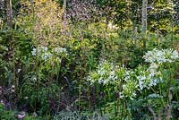 The Normandy 1066 Medieval Garden, RHS Hampton Court Flower Show in 2016. Designed by Stephane Marie, Alexandre Thomas