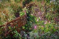 A pleached hedge made of willow wicker, The Normandy 1066 Medieval Garden, RHS Hampton Court Flower Show in 2016. Designed by Stephane Marie, Alexandre Thomas