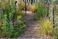 Black Stained Branches and Drought Tolerant Planting in Grave with Stachys monieri 'Hummelo' and Anemanthele lessoniana. Striving for Survival, RHS Hampton Court Palace Flower Show 2016. Design: Holly Fleming