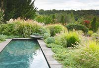 In a corner by the pool stands a lotus leaf-shaped basin created by the owners, the planting includes Pennisetum alopecuroides 'Japonicum', Euphorbia cyparissias 'Clarice Howard', Euphorbia characias, buxus sempervirens and Miscanthus in les Jardins de la Poterie Hillen.