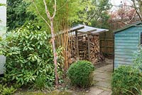 Log store and garden shed concealed by Aucuba japonica and bamboo.