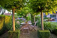 Catalpa bignoides 'Nana' trained into lollipops, box hedges, small patio with wooden garden furniture.