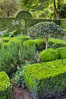 Herb knot garden with Buxus - Box hedging. Design: Dina Deferme