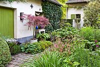 Courtyard with floral displays and borders. Planting includes Acer palmatum dissectum 'Garnet', Persicaria amplexicaulis 'Rosea', Hosta, Violas, Anemone, Alchemilla mollis.  Design: Dina Deferme