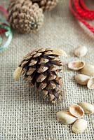 Ingredients needed to make a pine cone reindeer