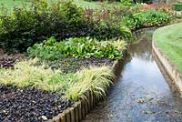 Raised bed above stream with mixed tapestry evergreen planting of Ajuga reptans 'Catlin's Giant', bugle Bergenia 'Eric Smith', Euphorbia cyparissias 'Fens Ruby', cypress spurge, Heuchera, Carex and Fagus sylvatica Purpurea hedge