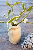 Frosty mistletoe in small earthernware bottle with cone and berries