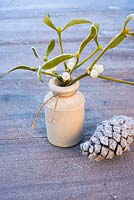 Frosty mistletoe in small earthernware bottle with cone and berries
