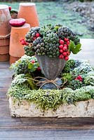 Frosty winter floral arrangement of Cotoneaster berries and ivy.
