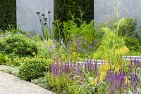 Blue, silver and yellow borders with  Salvia nemorosa 'Caradona', Iris foeniculum, Geranium 'Orion Blue' and Pitttosporum 'Nana' in front of grey wall and Taxus baccata clipped hedge. The Scotty's Little Soldiers Garden, RHS Hampton Court Palace Flower Show 2015. Designer: Graeme Third