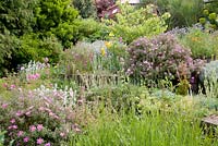 Terraced beds with Judas tree, Cistus, Stachys, Centranthus ruber, Euphorbia and Papaver rupifragum