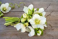 Posy of white and green hellebores on wooden background