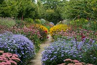 68-metre-long, autumn twin herbaceous borders punctuated by clumps of Sedum spectabile, Aster x frikartii 'Monch', Echinacea purpurea, golden Rudbeckia fulgida, Lobelia tupa, Helianthus 'Lemon Queen' and miscanthus.