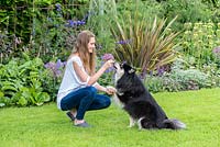 Claire Farthing's daughter, Danielle, plays with Ozzy, a Finnish lapphund.