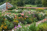 The Walled Garden at Kelmarsh Hall planted with colourful late summer borders including Dahlia, Cosmos and Rudbeckia. The borders are at their peak in September for the Dahlia festival.