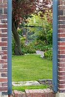 A view into a walled town garden with ornamental cherry tree, lawn and borders of tulips.