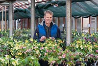 Kevin Belcher who, over the last 30 years, has developed an amazing range of hellebore hybrids in Ashwood Nurseries' breeding programme.