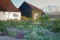 Mixed Spring border with Tulipa, Euphorbia, Grasses and Heuchera with barn beyond. Garden: Ulting Wick, Essex. Owner: Philippa Burrough