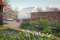 Spring beds in formal country garden with Buxus clipped hedge and Myosotis alpestris 'Compindi', Narcissus 'Baby Moon', Narcissus 'Poeticus' and mixed Tulipa and greenhouse beyond