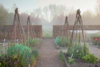 Naturalistic style plant supports in raised beds in spring. Garden: Ulting Wick, Essex. Owner: Philippa Burrough