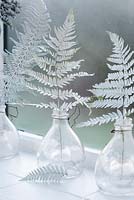 Sprayed fern leaves used as winter decorations in old glass wasp catchers